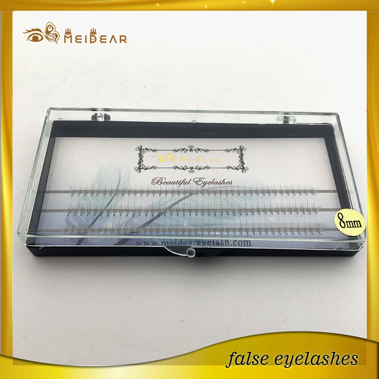 Factory supply own brand 2D 6D  pre-fanned volume eye lashes extension